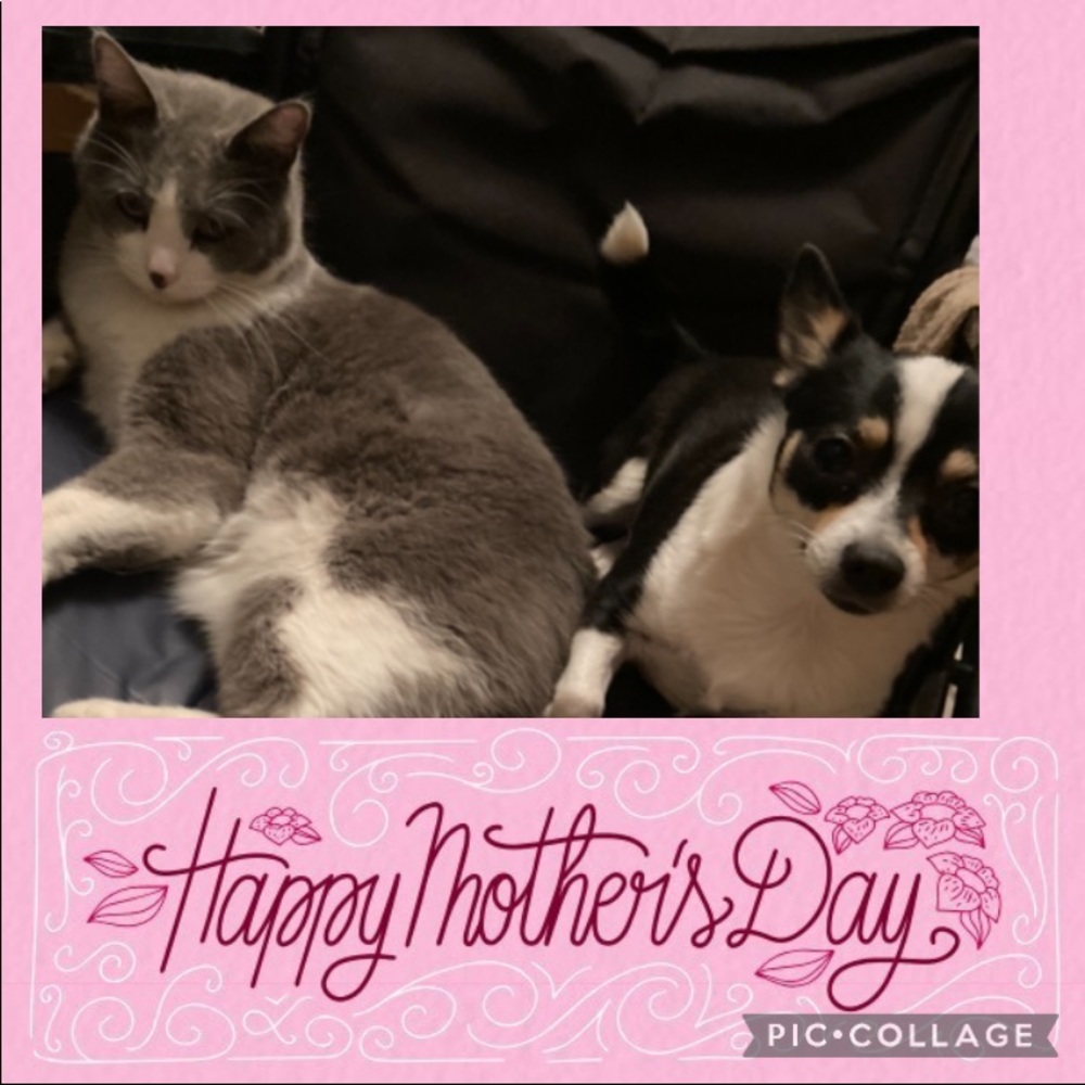 Happy Mother’s Day